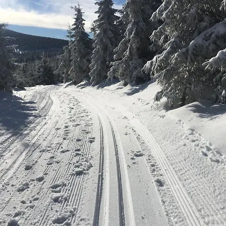 Eco-rajka 17 B Alpesi faház Nowy Gierałtów