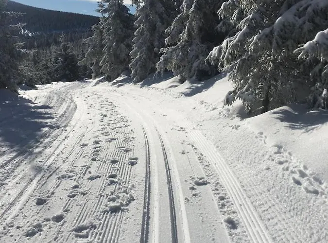 Eco-rajka 17 B 샬레 Nowy Gieraltow