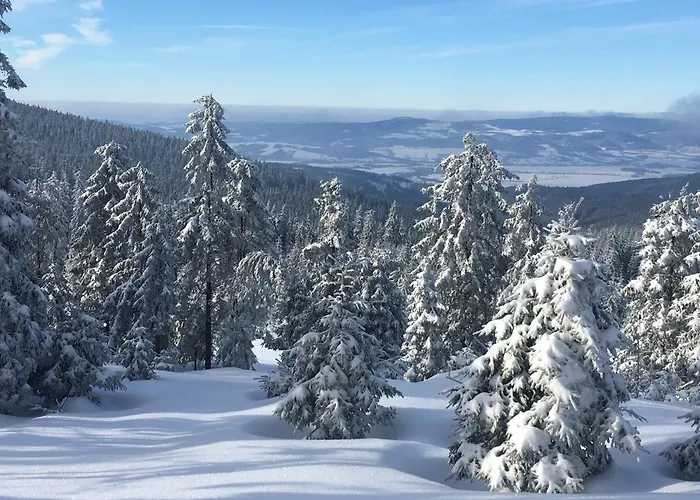 Chalet Eco-rajka 17 B *